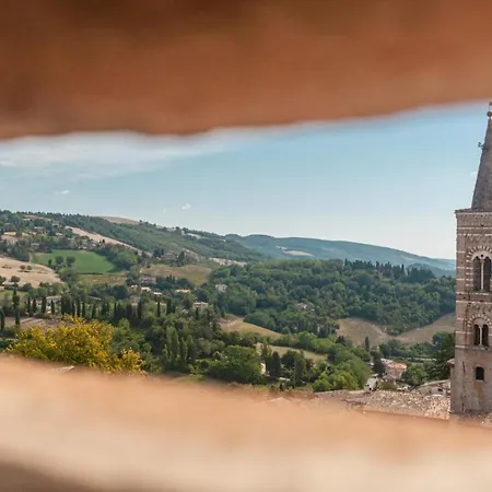 Il Cielo Di Raffaello 2